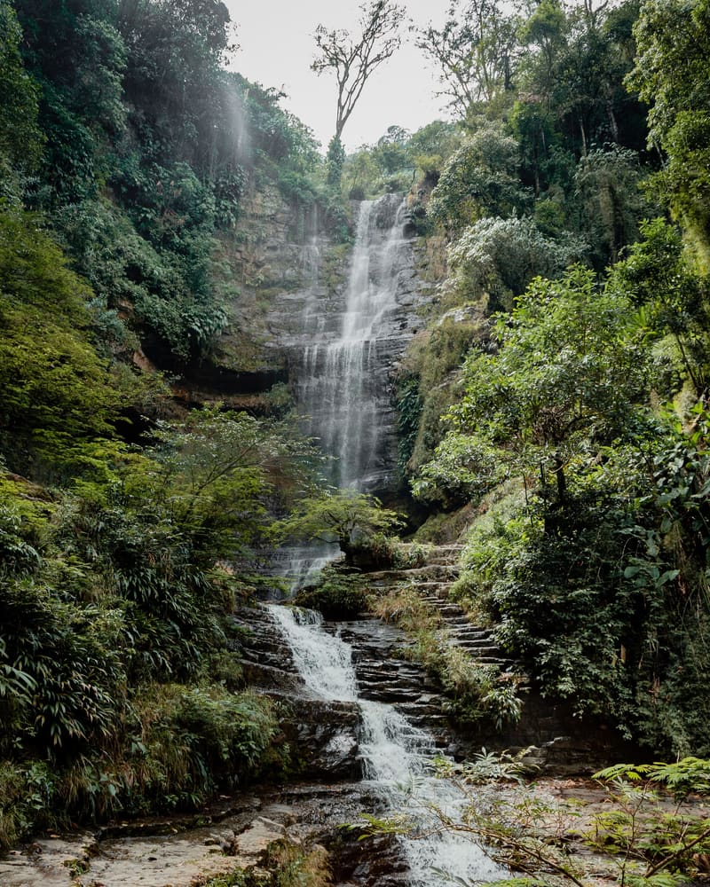 La cascada de Juan Curí cae entre la vegetación hacia un lecho de piedras.